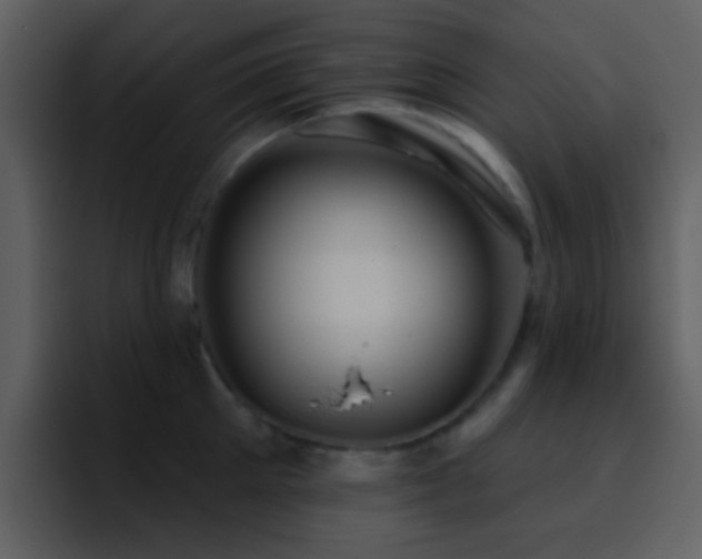 X0000095680905200801081226