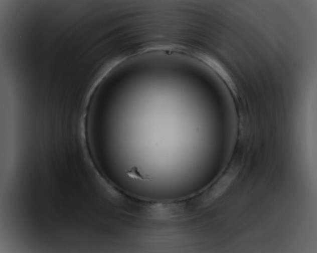 X0000095680906200801081226