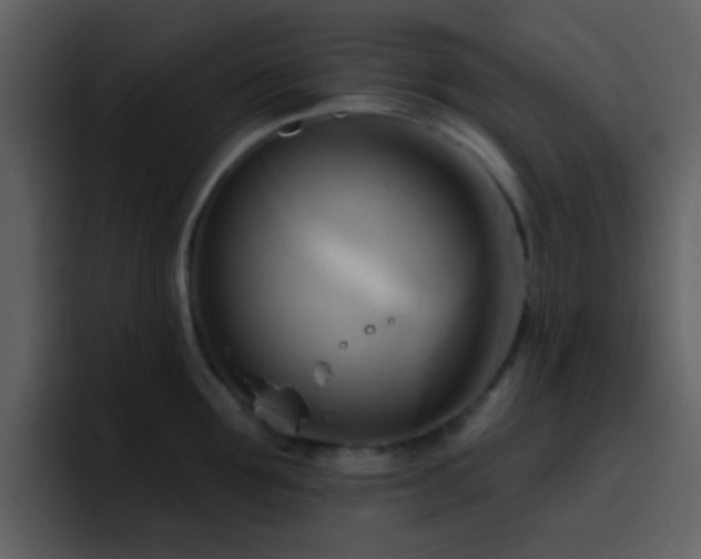 X0000095680907200801081226