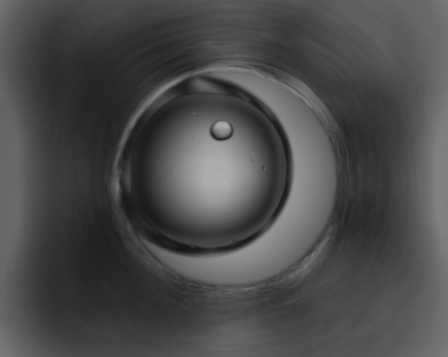 X0000095680908200801081226