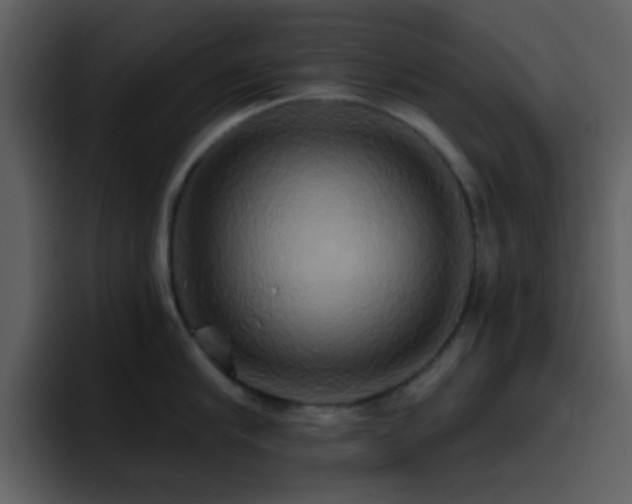X0000095680910200801081226