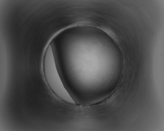 X0000095680912200801081226