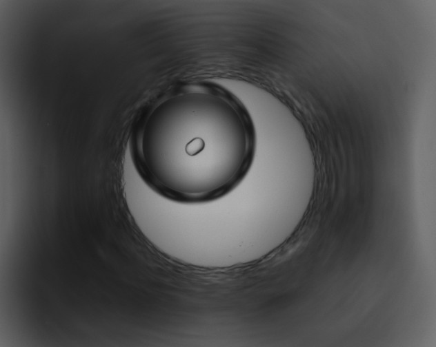X0000095680916200801081226