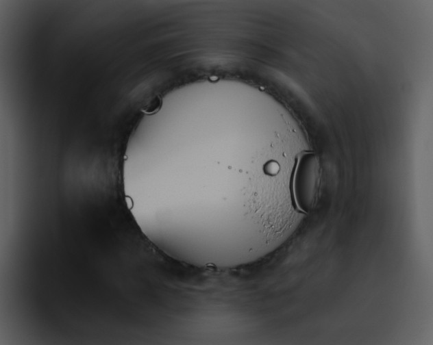 X0000095680918200801081226