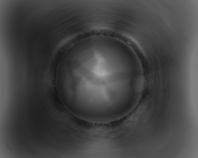 X0000095680919200801081226