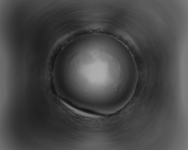 X0000095680920200801081226
