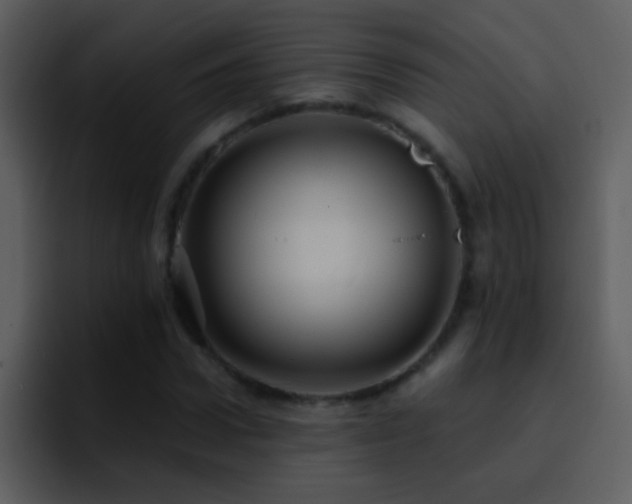 X0000095680922200801081226