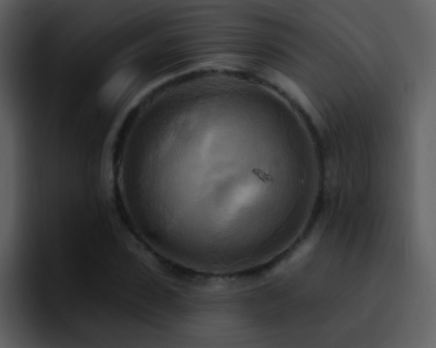 X0000095680923200801081226