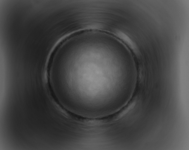 X0000095680924200801081226
