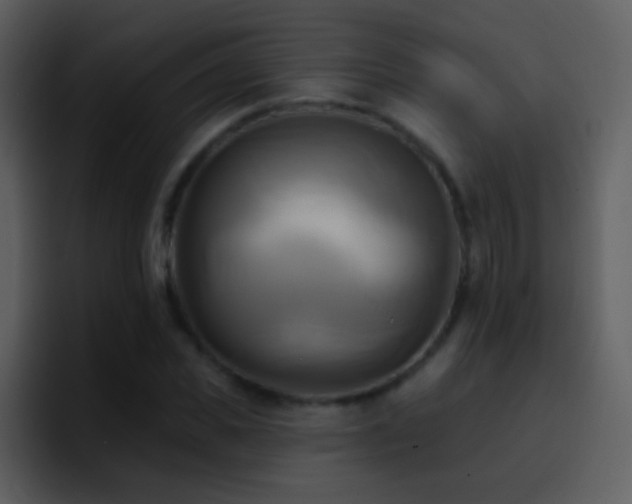 X0000095680925200801081226