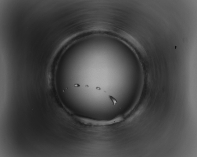 X0000095680926200801081226