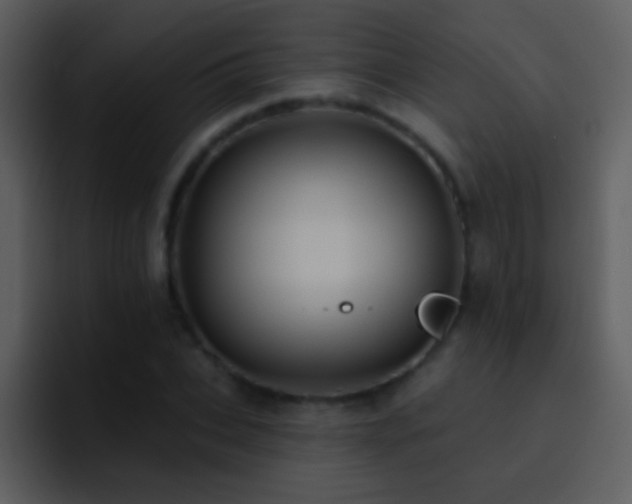 X0000095680927200801081226