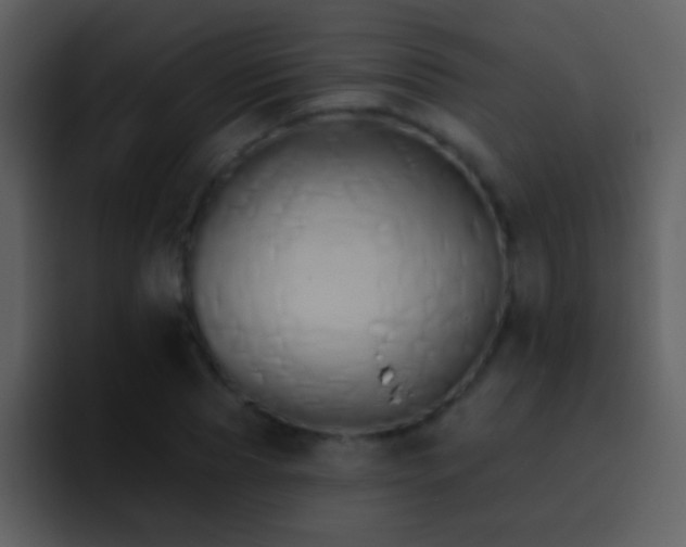 X0000095680929200801081226