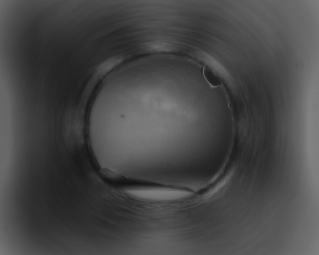 X0000095680930200801081226
