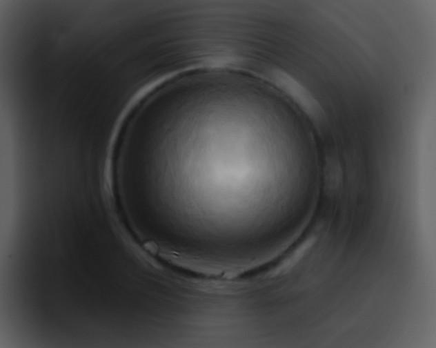 X0000095680932200801081226