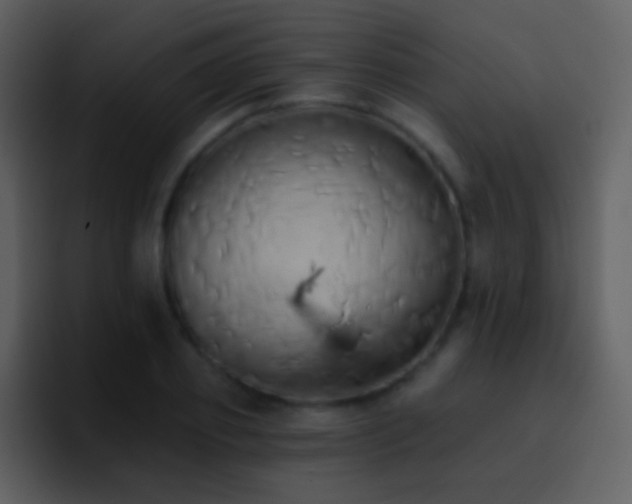 X0000095680933200801081226