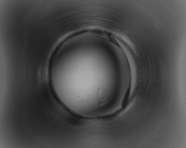 X0000095680934200801081226