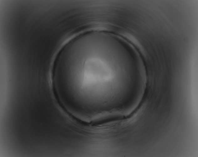 X0000095680935200801081226