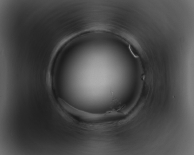 X0000095680936200801081226