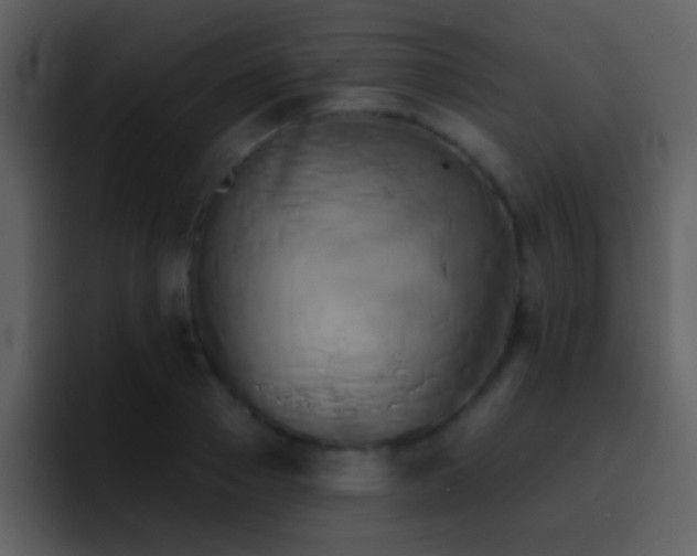 X0000095680937200801081226