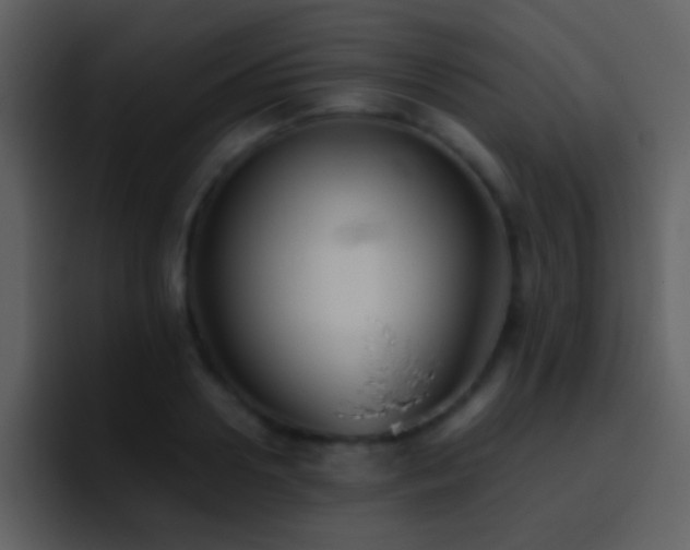 X0000095680938200801081226