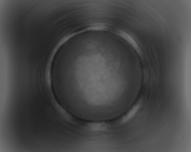 X0000095680939200801081226