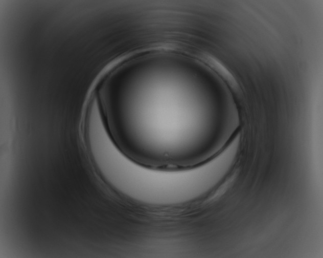 X0000095680940200801081226