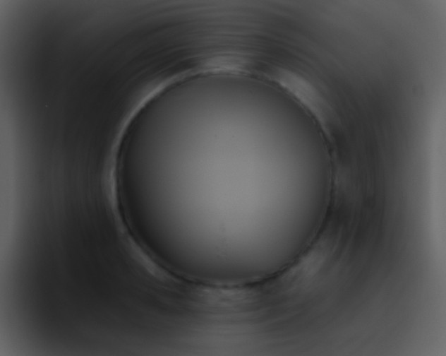 X0000095680941200801081226