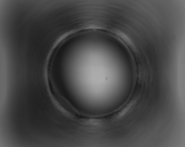 X0000095680942200801081226