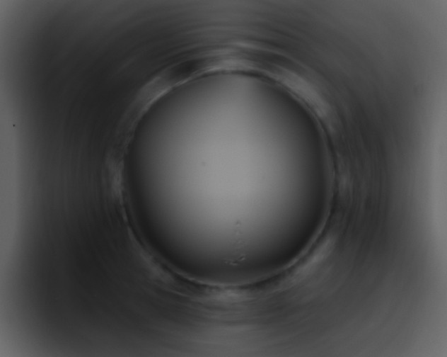 X0000095680945200801081226