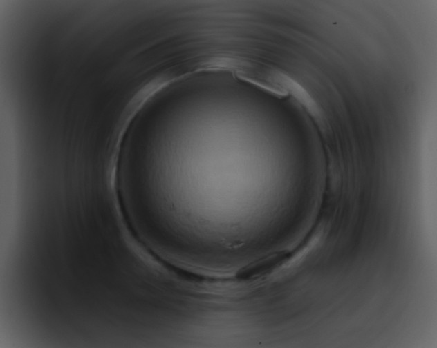 X0000095680946200801081226