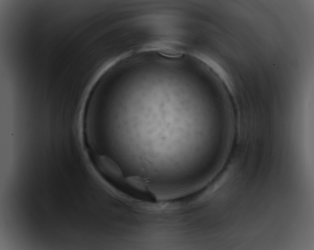 X0000095680949200801081226