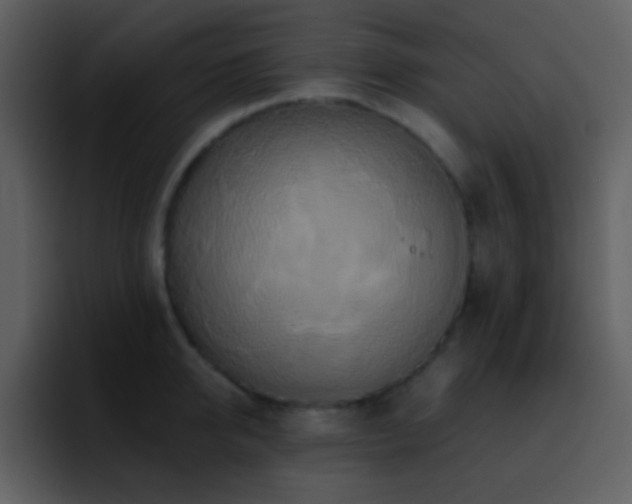 X0000095680950200801081226