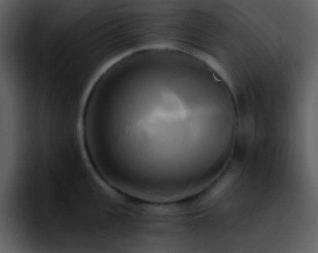 X0000095680951200801081226