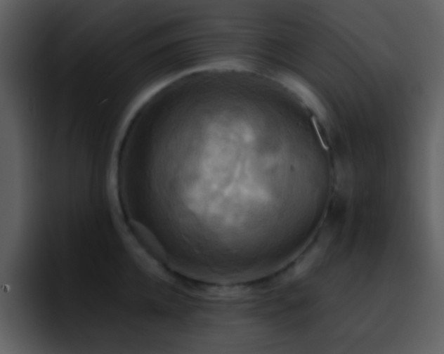 X0000095680952200801081226
