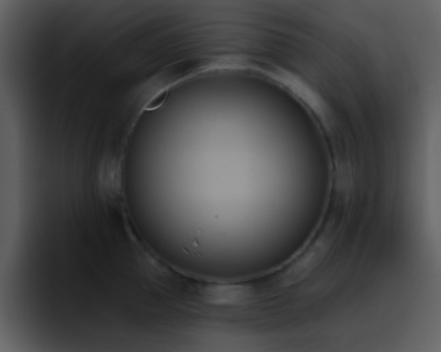 X0000095680953200801081226