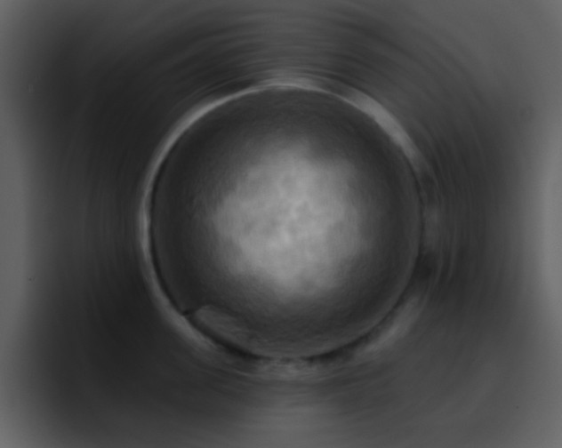 X0000095680955200801081226