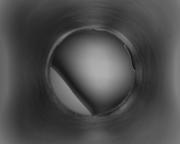 X0000095680956200801081226