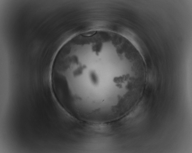 X0000095680957200801081226