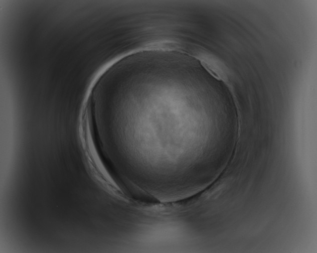 X0000095680960200801081226