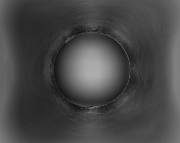 X0000095680961200801081226