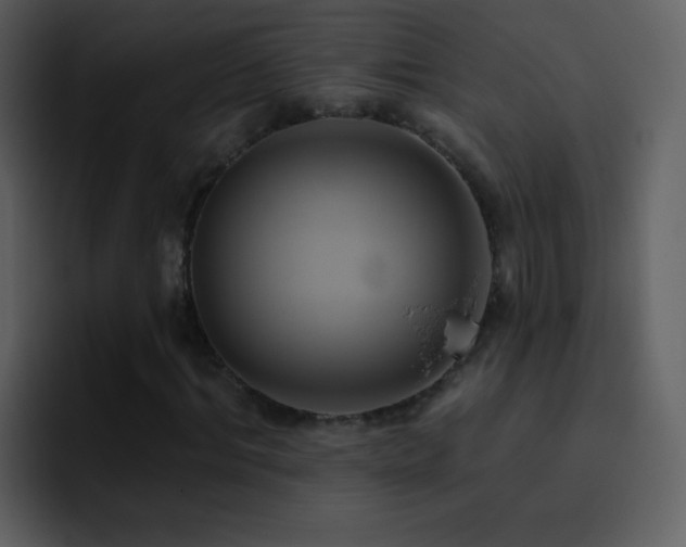 X0000095680964200801081225