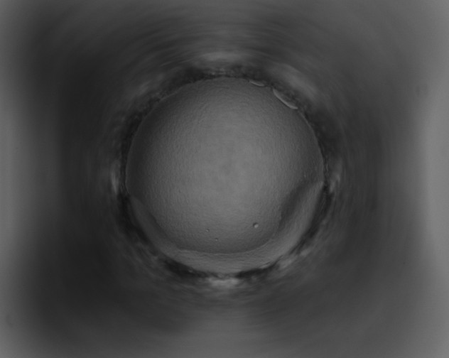 X0000095680965200801081225