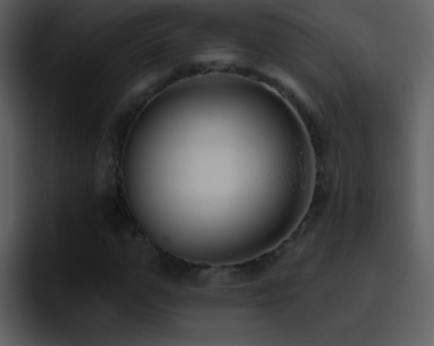 X0000095680967200801081225