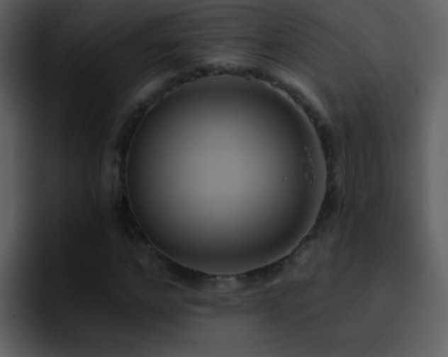 X0000095680968200801081225