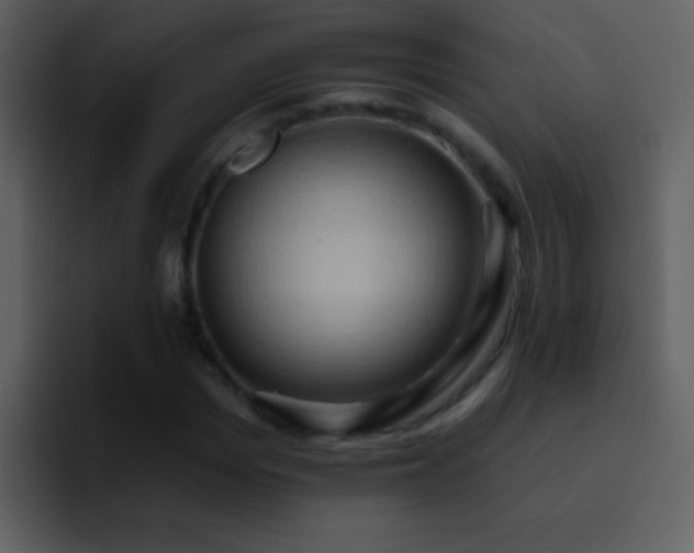 X0000095680969200801081225