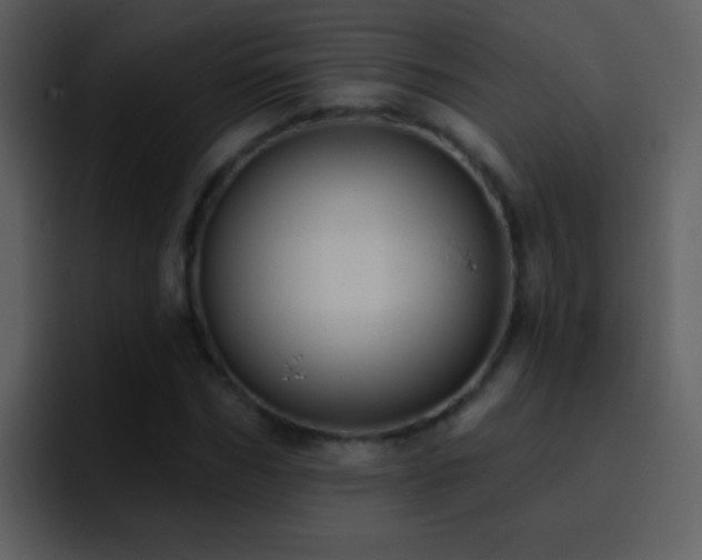 X0000095680970200801081225