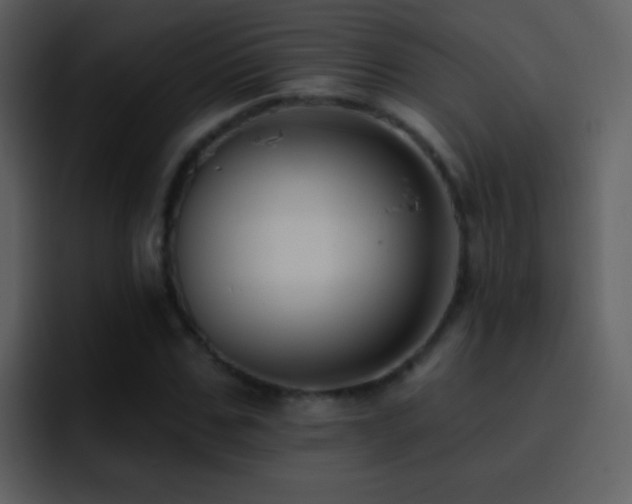 X0000095680971200801081225