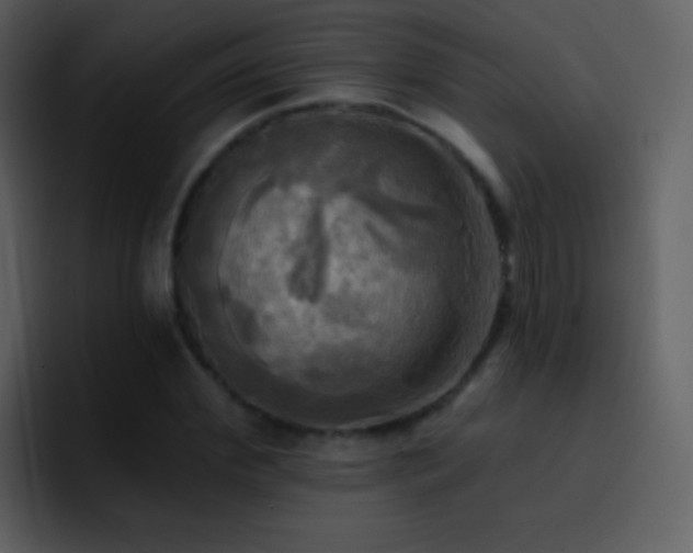 X0000095680972200801081225