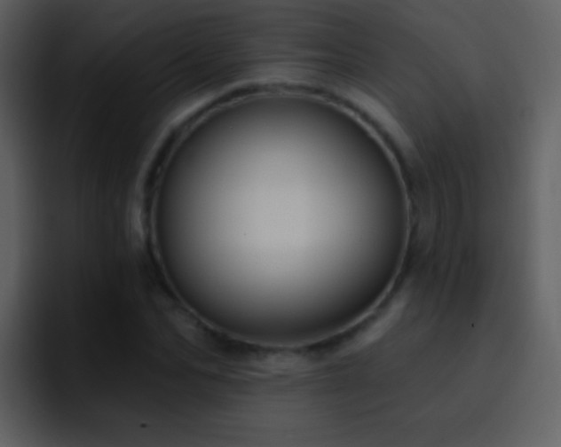 X0000095680974200801081225